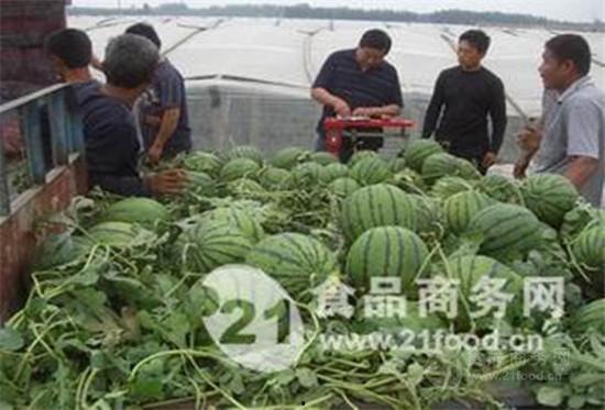 张家口赤城县大棚麒麟瓜今日价格,价格行情一览”