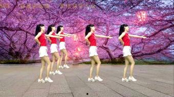 操一操视频,揭秘健身运动的魅力与技巧